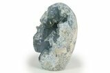 Free-Standing Crystal Filled Celestine Geode - Madagascar #303861-1